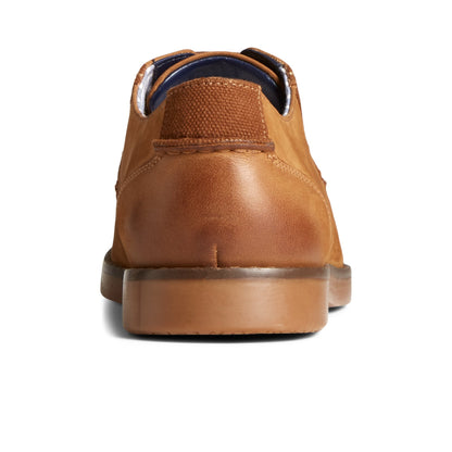 Newman Oxford Dress Shoe Medium Beige - 2 Sperry