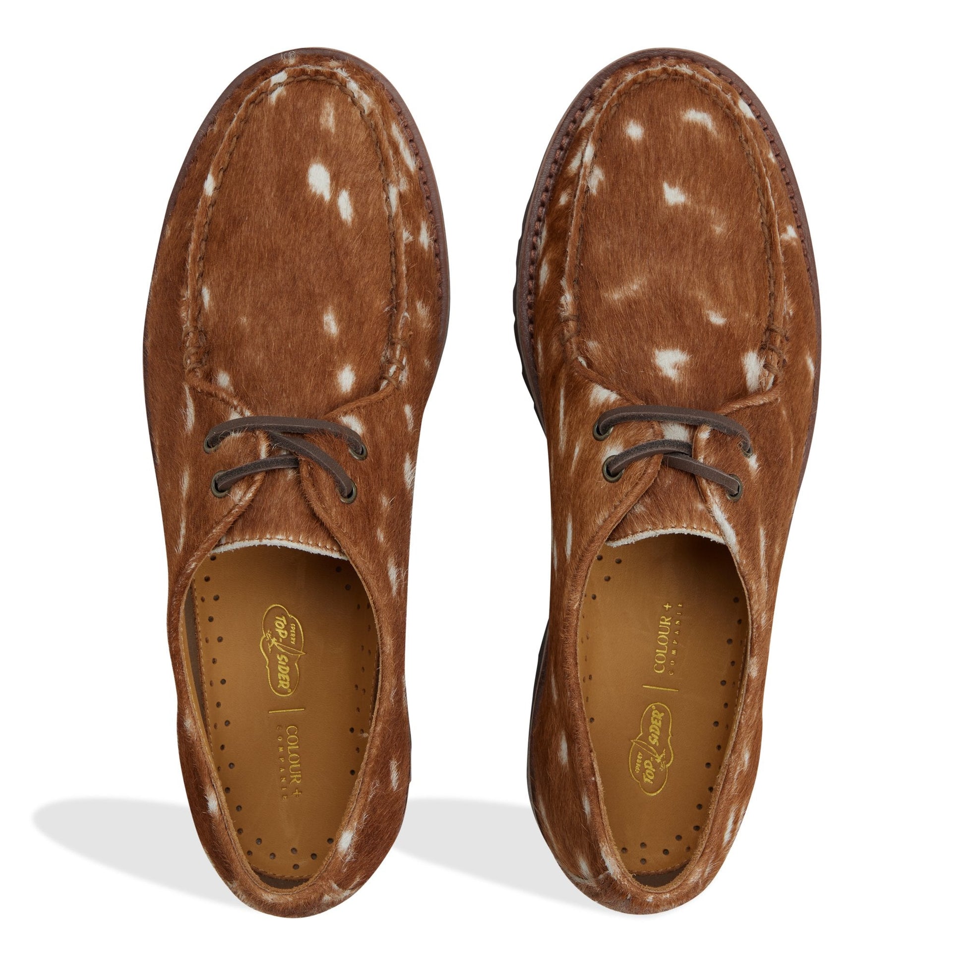 Cow Print Captain's Oxford Sperry