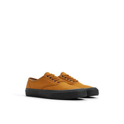 Cpc cvo Wheat Men's Sneakers Sperry