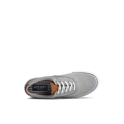 Striperii tx Grey Unisex Sneakers Sperry